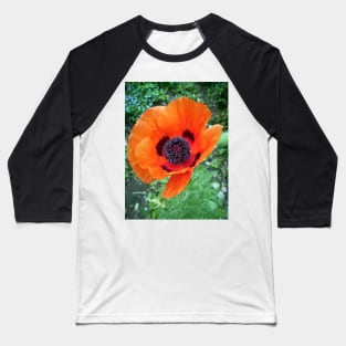 Poppy flower Baseball T-Shirt